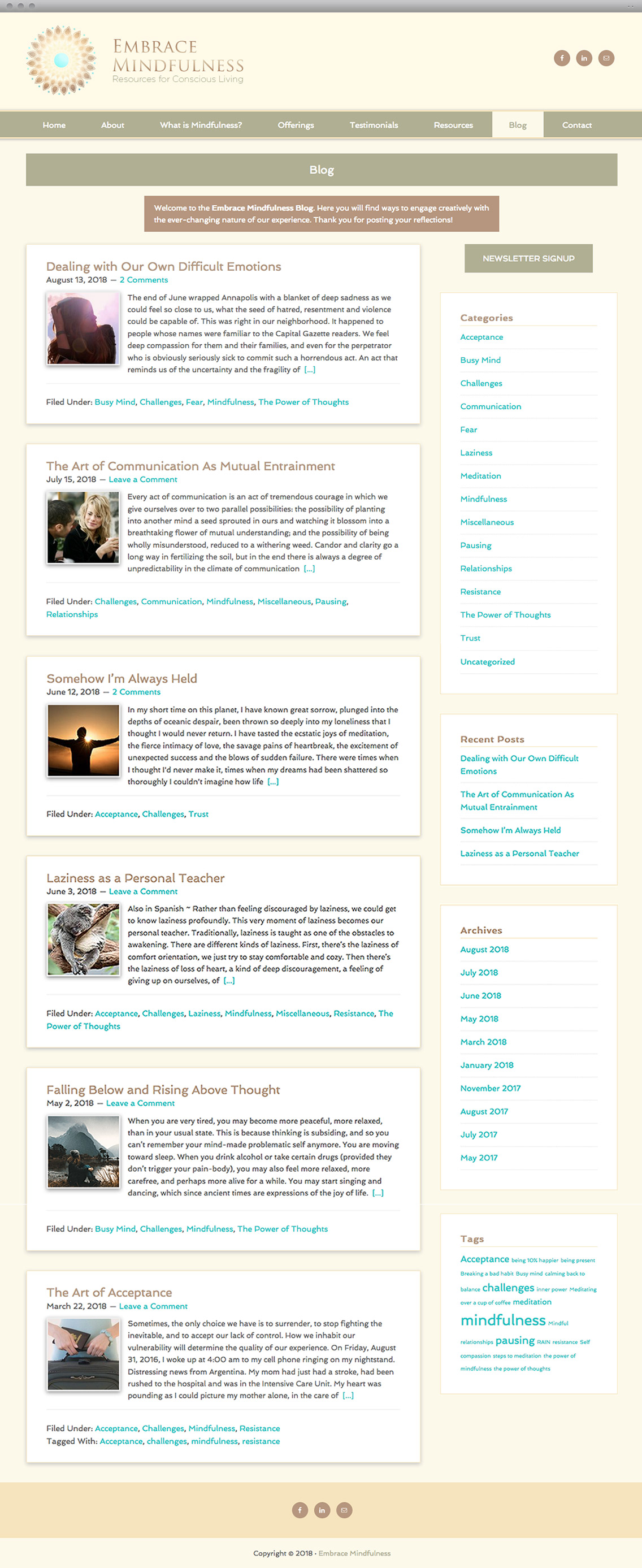 Embrace Mindfulness Content Page